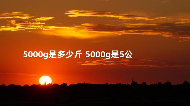 5000g是多少斤 5000g是5公斤吗